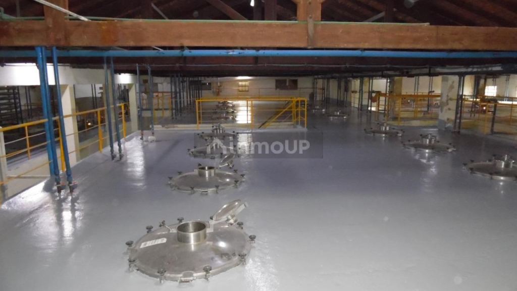 Bodega en Venta en Junin, Mendoza