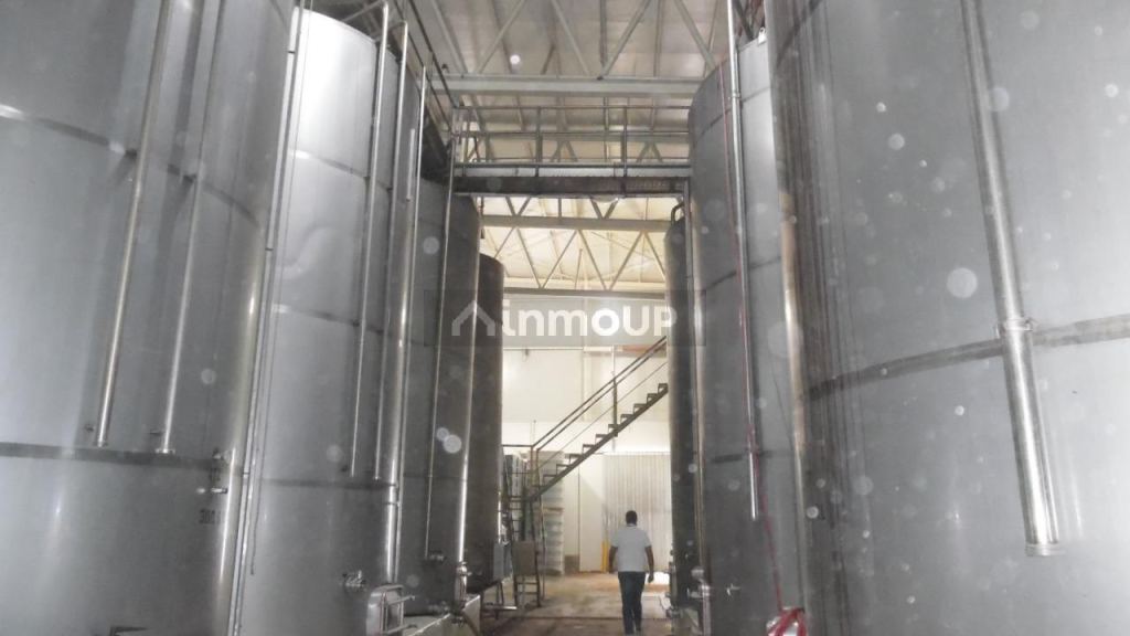Bodega en Venta en Junin, Mendoza