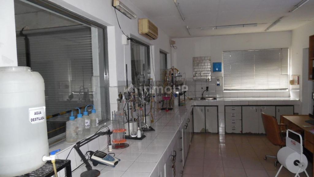 Bodega en Venta en Junin, Mendoza