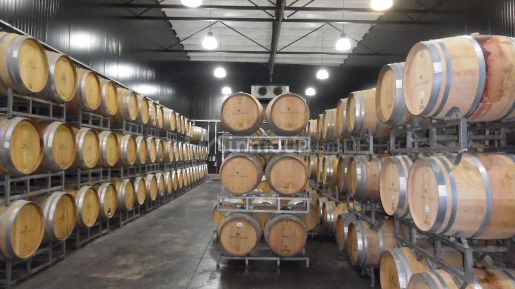 Bodega en Venta en Junin, Mendoza