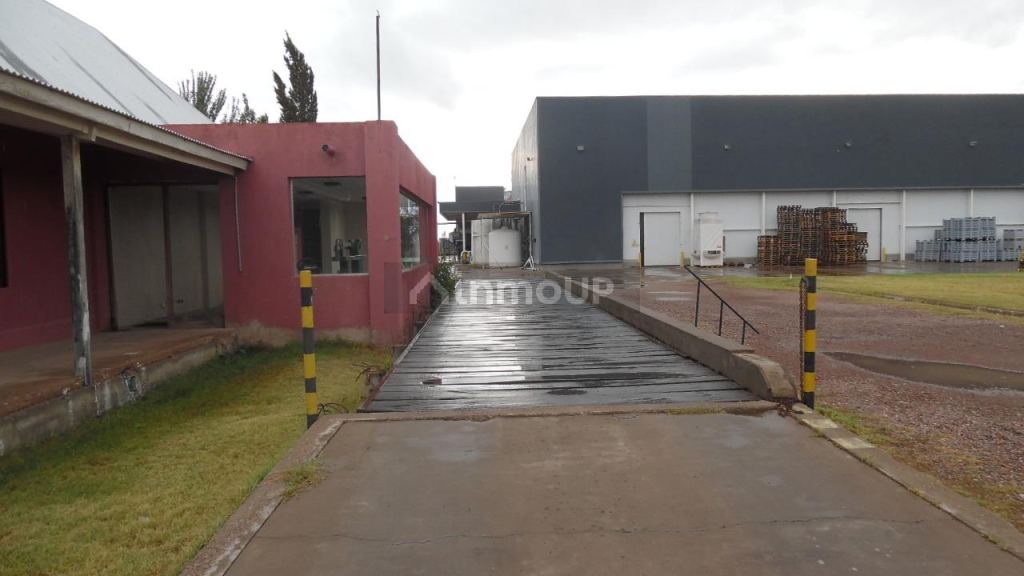 Bodega en Venta en Junin, Mendoza