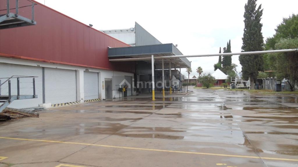Bodega en Venta en Junin, Mendoza
