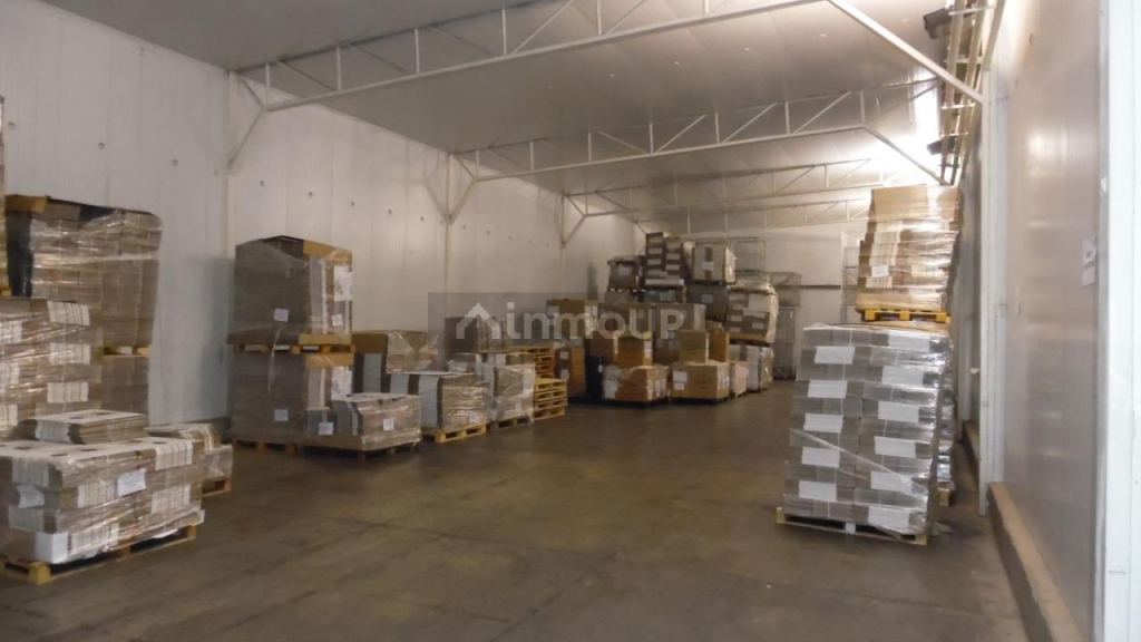 Bodega en Venta en Junin, Mendoza