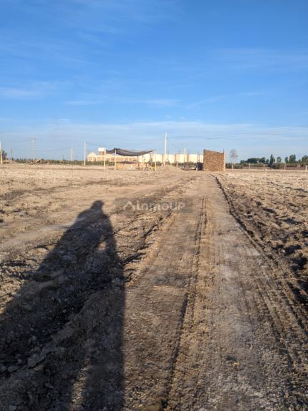 Lote en Venta en Lavalle, Mendoza