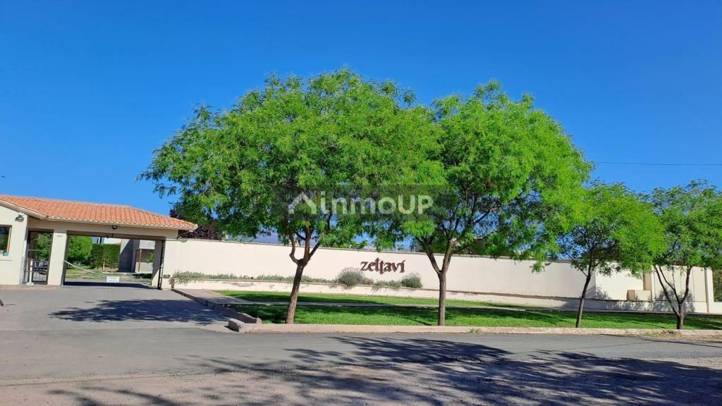 Lote en Venta en Lujan de Cuyo, Mendoza