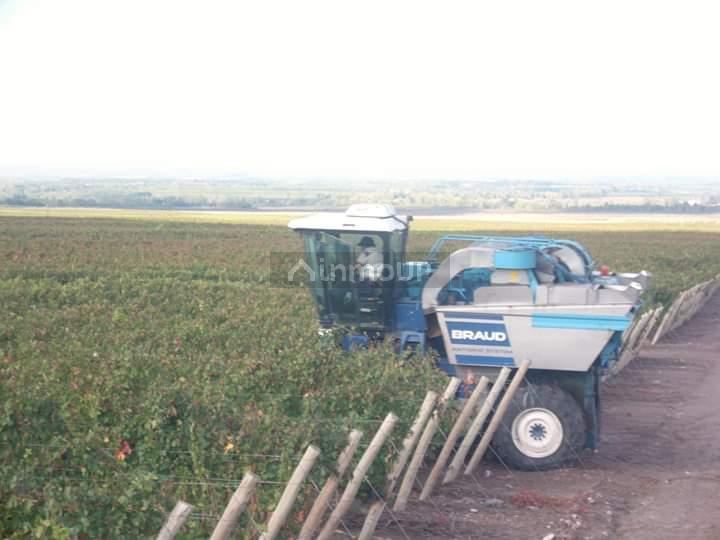 Finca en Venta en Guaymallen, Mendoza