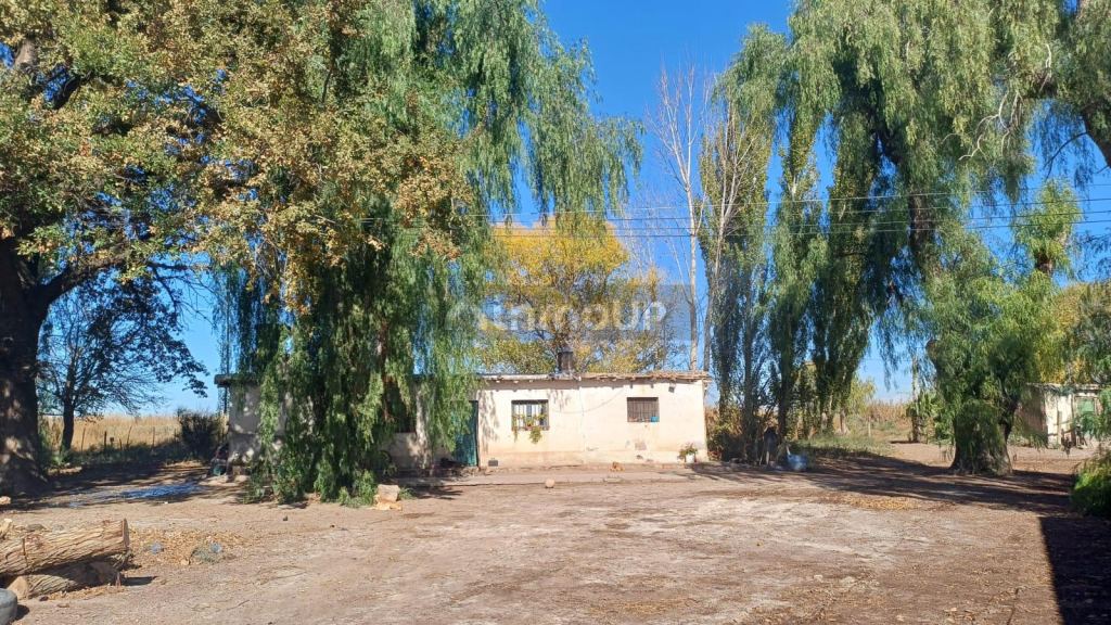 Finca en Venta en Guaymallen, Mendoza