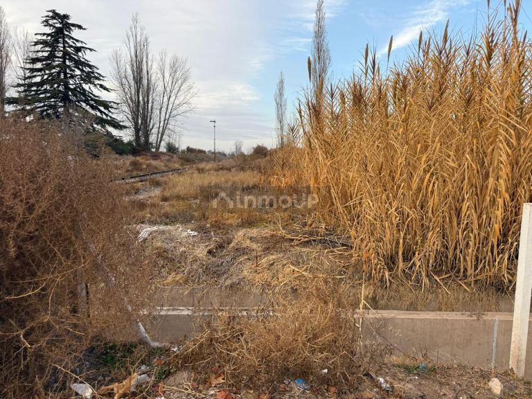Lote en Venta en Lujan de Cuyo, Mendoza