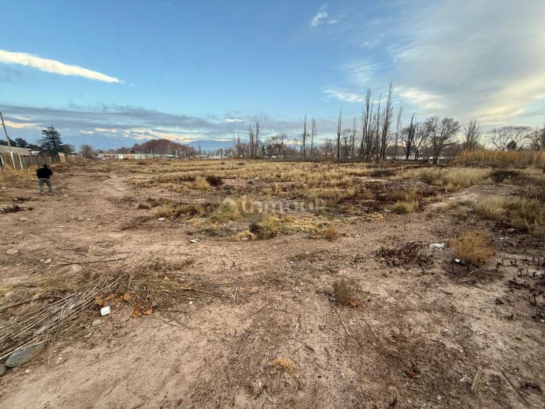 Lote en Venta en Lujan de Cuyo, Mendoza
