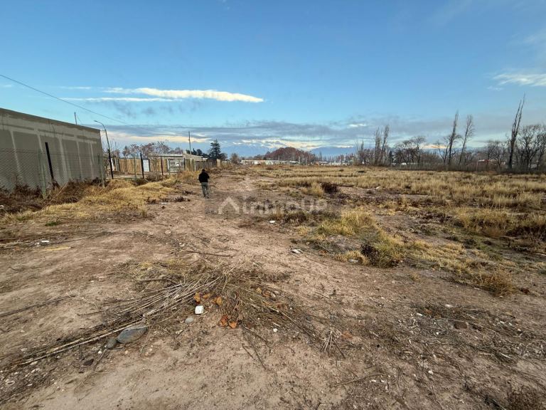 Lote en Venta en Lujan de Cuyo, Mendoza