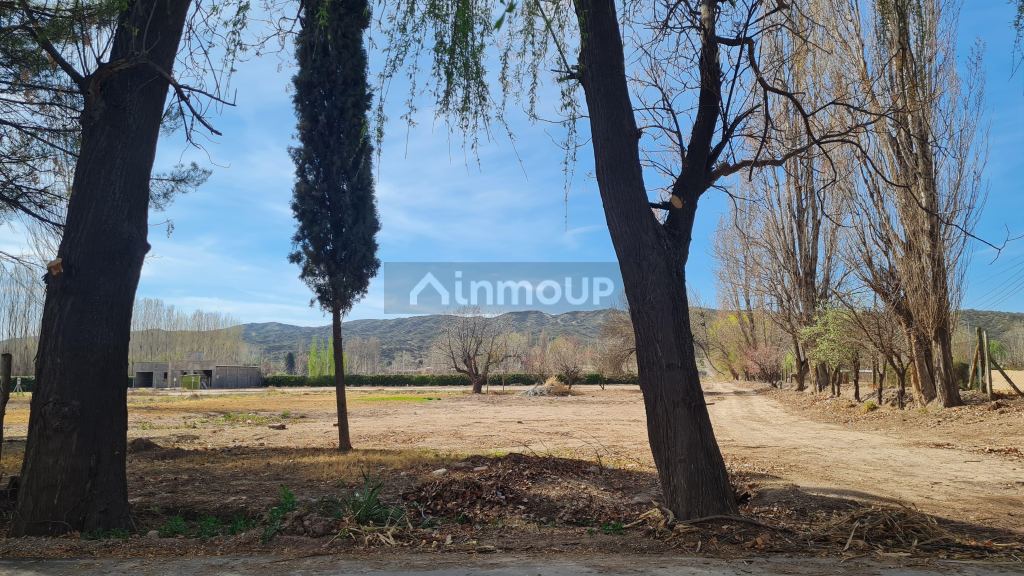 Lote en Venta en Lujan de Cuyo, Mendoza