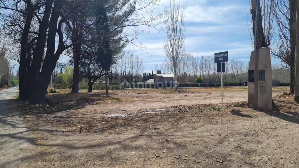 Lote en Venta en Lujan de Cuyo, Mendoza
