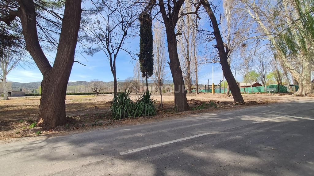 Lote en Venta en Lujan de Cuyo, Mendoza