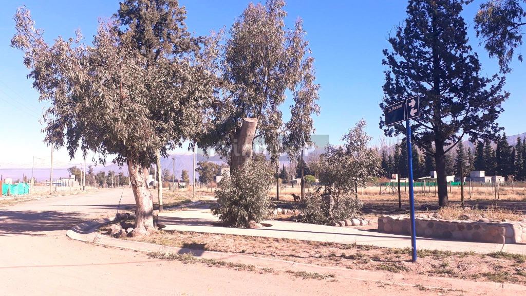 Lote en Venta en Lujan de Cuyo, Mendoza