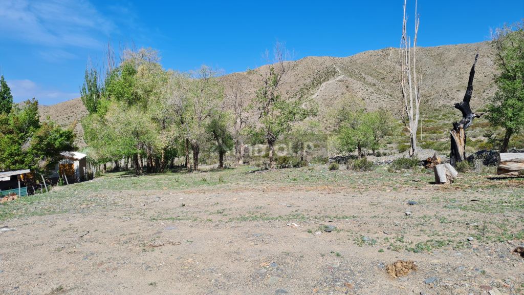 Lote en Venta en Lujan de Cuyo, Mendoza