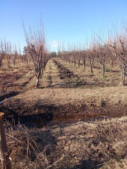 Lote en Venta en Junin, Mendoza
