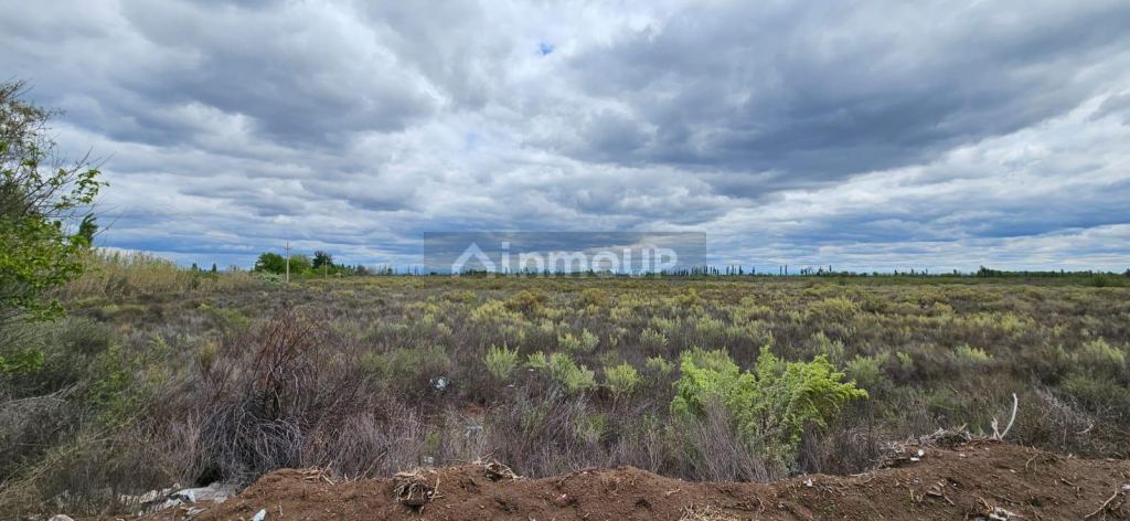 Finca en Venta en San Rafael, Mendoza - USD 10.000 | Inmoup - 10