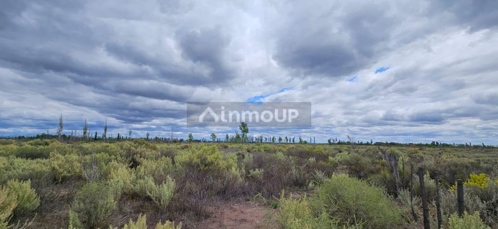 Finca en Venta en San Rafael, Mendoza - USD 10.000 | Inmoup - 7