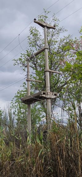 San Rafael Ruta Nacional 146, esquina Lencinas s/n
