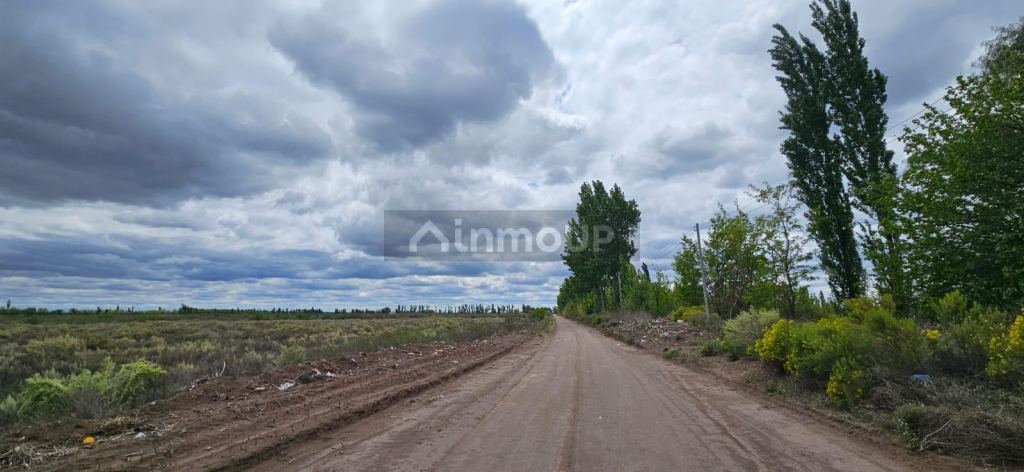 Finca en Venta en San Rafael, Mendoza - USD 10.000 | Inmoup - 6