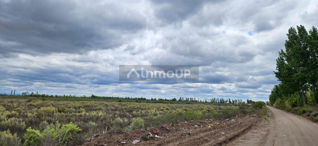 Finca en Venta en San Rafael, Mendoza - USD 10.000 | Inmoup - 9