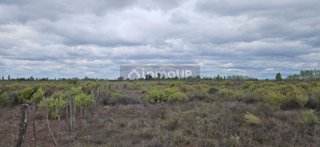 Finca en Venta en San Rafael, Mendoza - USD 10.000 | Inmoup - 8
