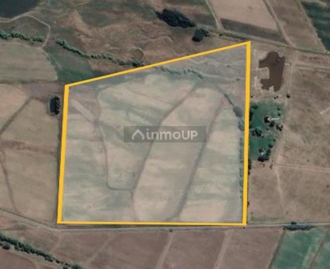 Terreno en Venta en Tupungato, Mendoza