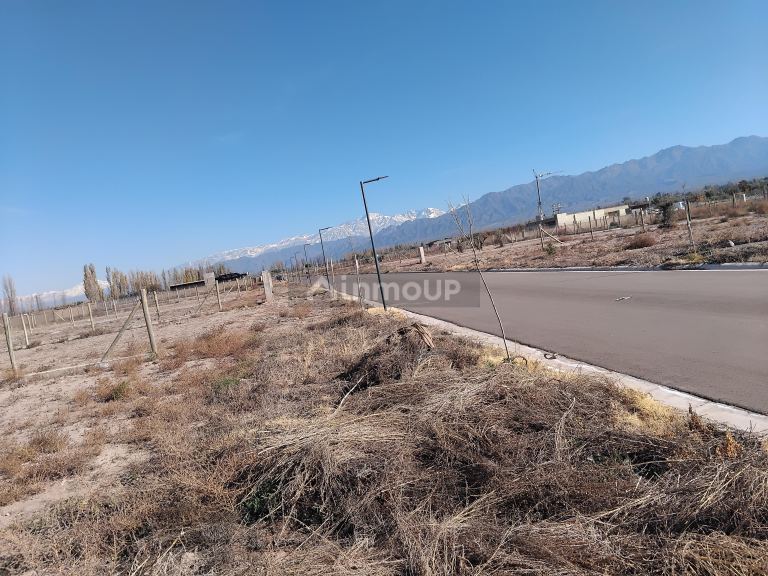 Lote en Venta en Lujan de Cuyo, Mendoza