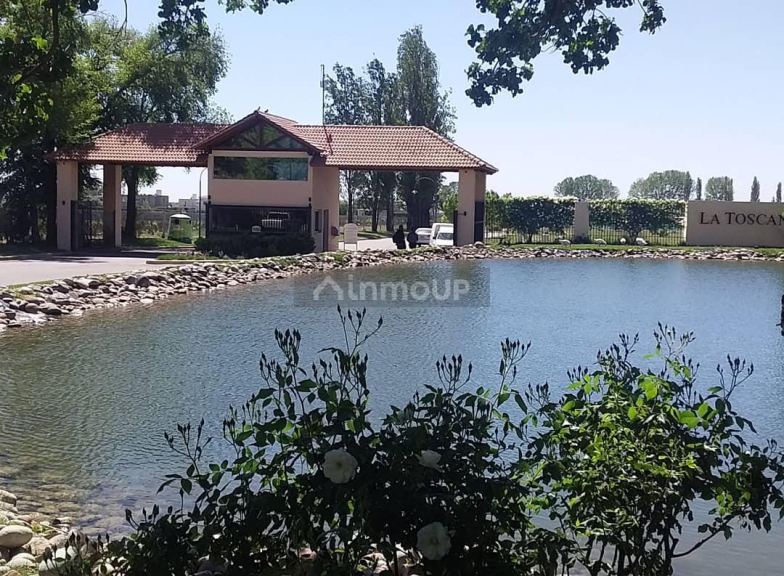 Lote en Venta en Lujan de Cuyo, Mendoza