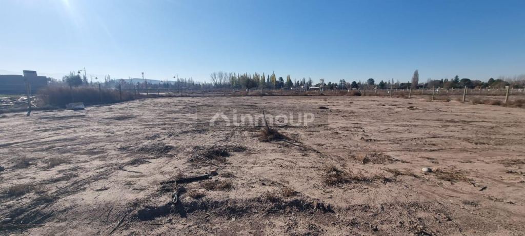 Lote en Venta en Lujan de Cuyo, Mendoza