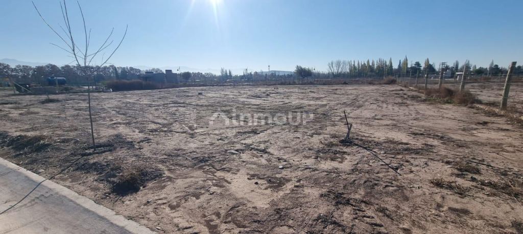 Lote en Venta en Lujan de Cuyo, Mendoza