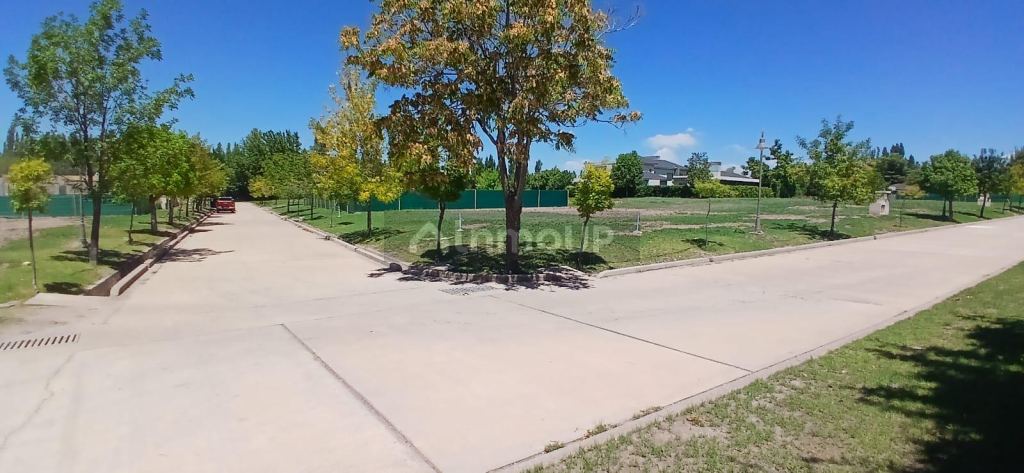 Lote en Venta en Lujan de Cuyo, Mendoza