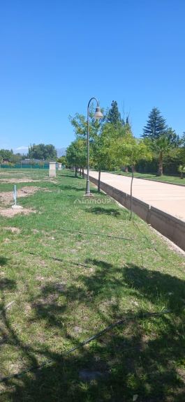 Lote en Venta en Lujan de Cuyo, Mendoza