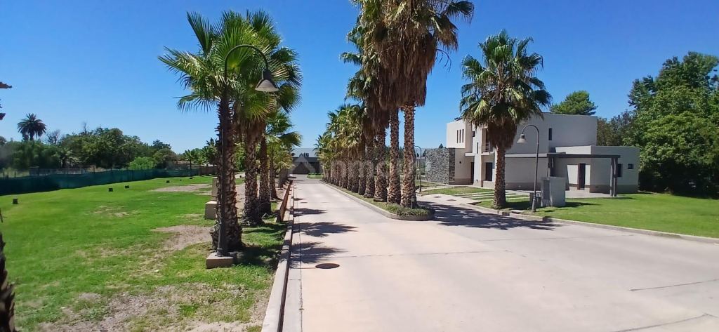 Lote en Venta en Lujan de Cuyo, Mendoza