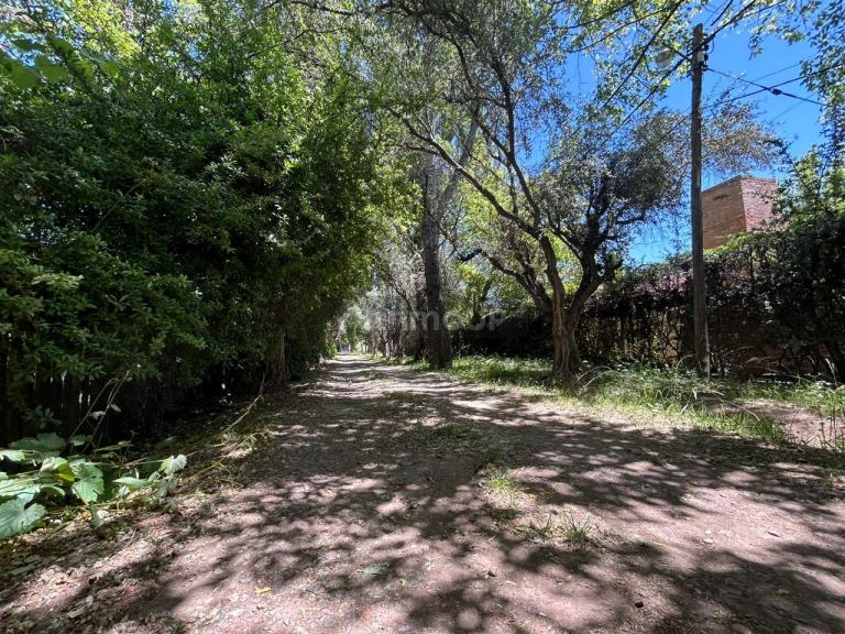 Lote en Venta en Lujan de Cuyo, Mendoza