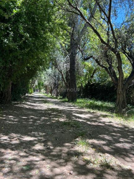 Lote en Venta en Lujan de Cuyo, Mendoza