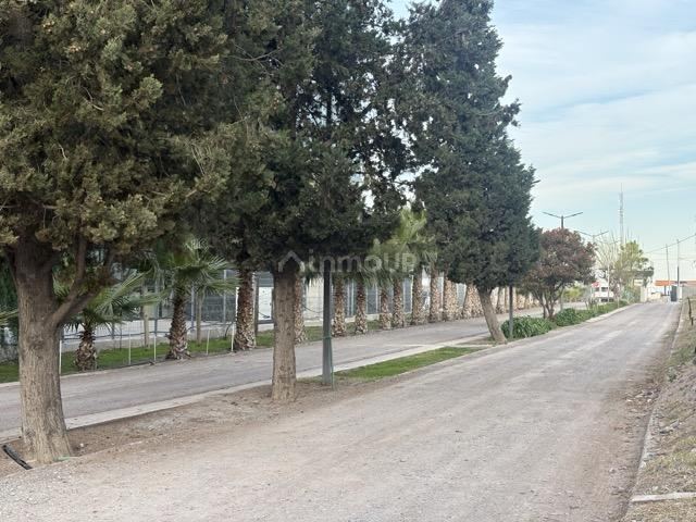 Departamento en Alquiler en Lujan de Cuyo, Mendoza - $ 800.000 | Inmoup - 19
