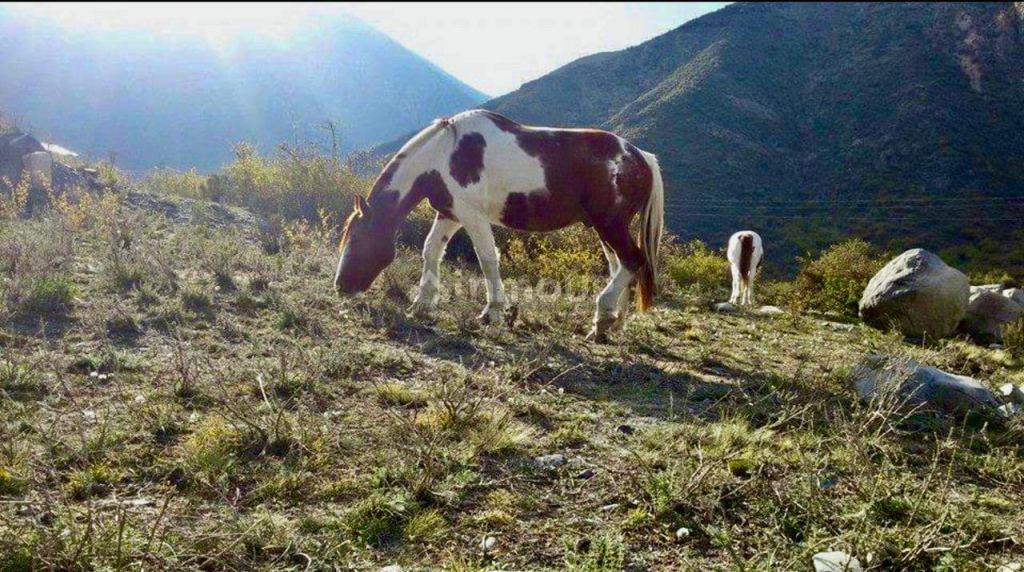 Lote en Venta en Lujan de Cuyo, Mendoza