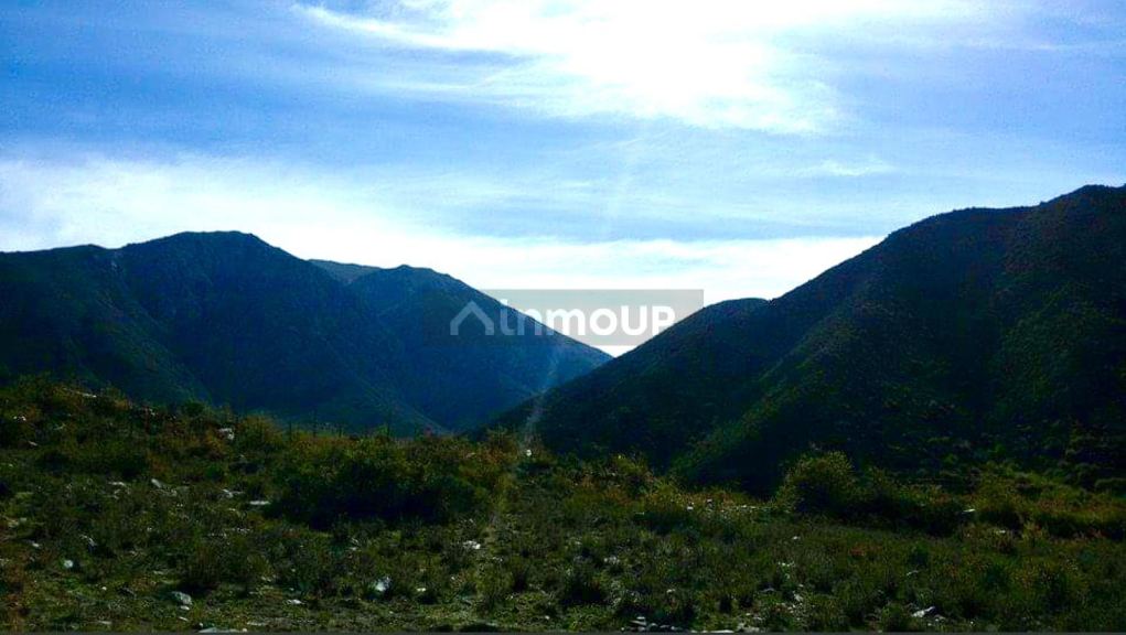 Lote en Venta en Lujan de Cuyo, Mendoza