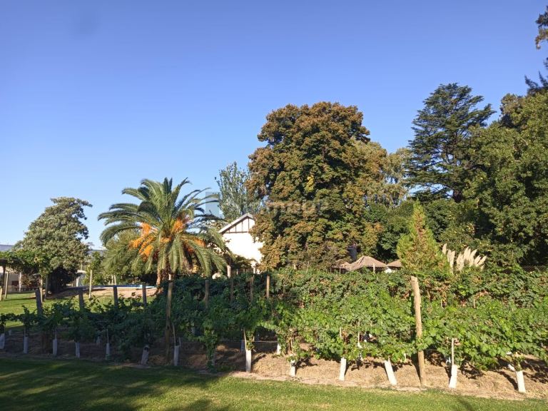 Casa Quinta en Venta en Maipu, Mendoza