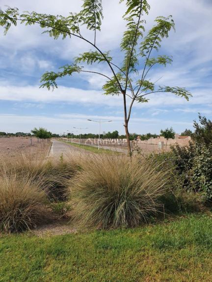 Lote en Venta en Guaymallen, Mendoza