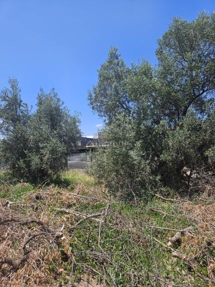 Lote en Venta en Maipu, Mendoza