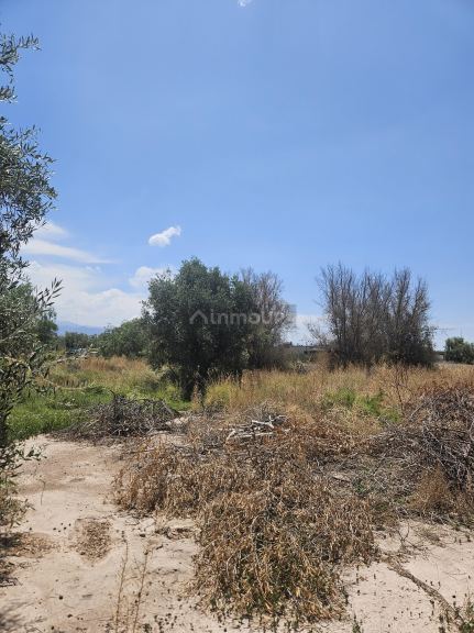 Lote en Venta en Maipu, Mendoza