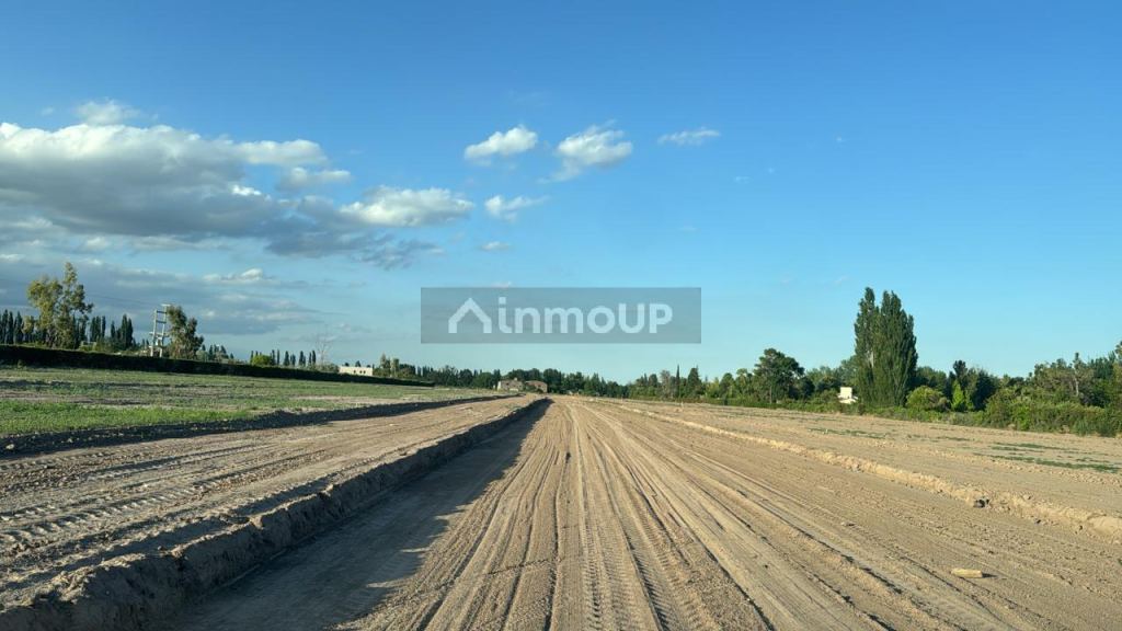 Lote en Venta en Lujan de Cuyo, Mendoza