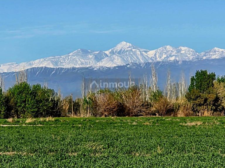 Finca en Venta en Lavalle, Mendoza