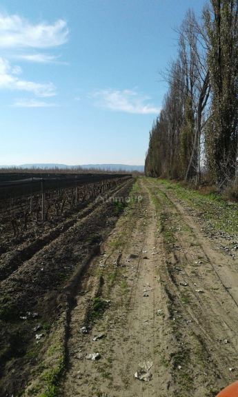 Finca en Venta en Tupungato, Mendoza