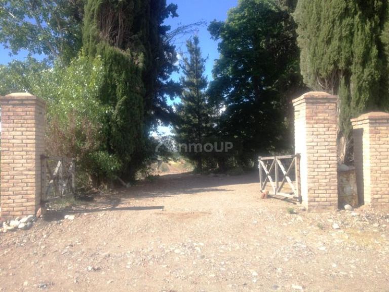 Finca en Venta en Tupungato, Mendoza