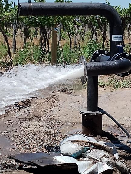 Finca en Venta en Tupungato, Mendoza