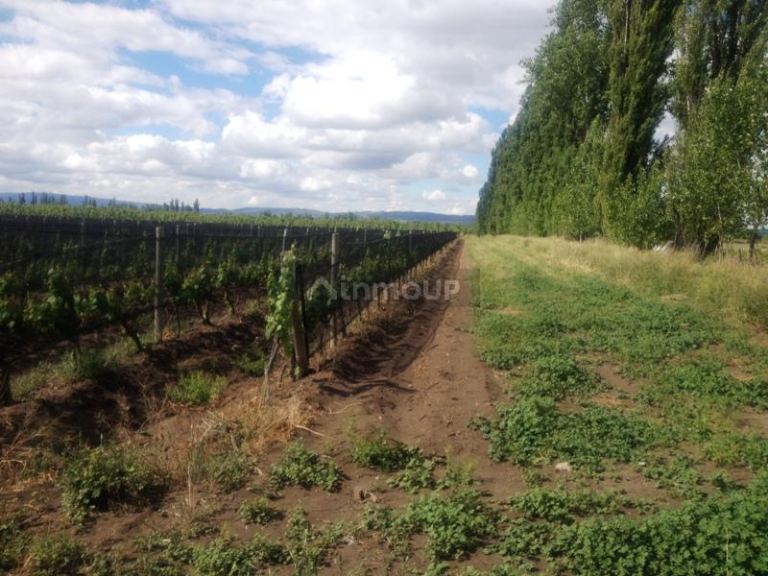 Finca en Venta en Tupungato, Mendoza