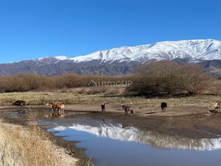 Tupungato Ruta Provincial N° 89